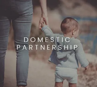 Domestic Partnership